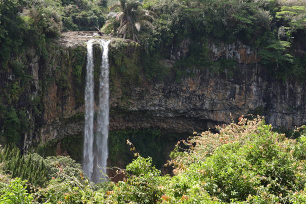 istock Chamarel Waterfall, Mauritius, Indian Ocean, Africa 1205812316