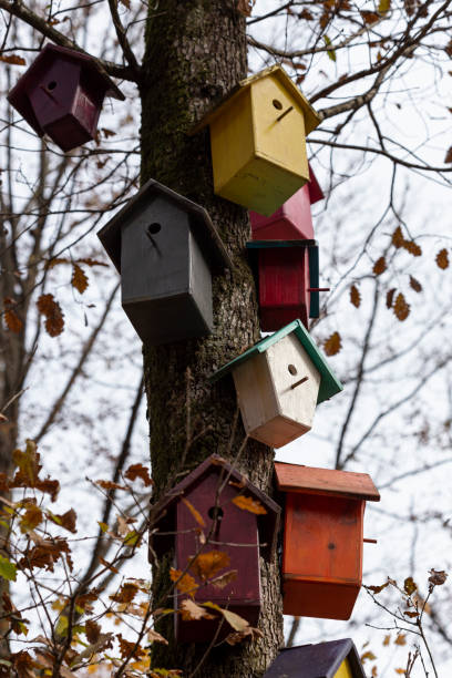 istock Colorful wooden beehives in forest 1205812364