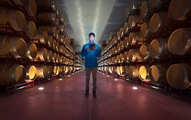 Winemaker working in oak barrels at cellar Winemaker working in oak barrels in a cellar winery with tablet pc wine producer stock pictures, royalty-free photos & images