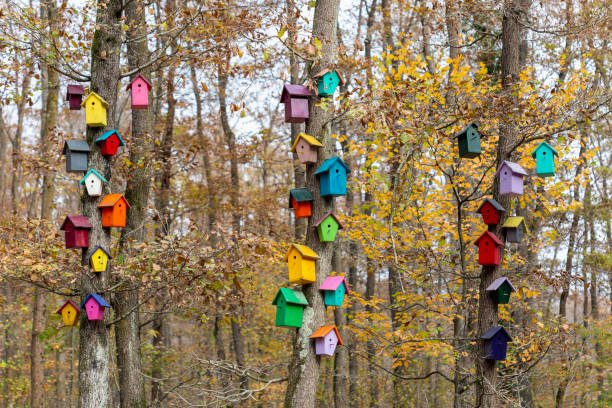 Colorful wooden beehives in forest