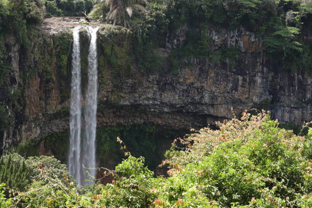 istock Chamarel Waterfall, Mauritius, Indian Ocean, Africa 1205812688