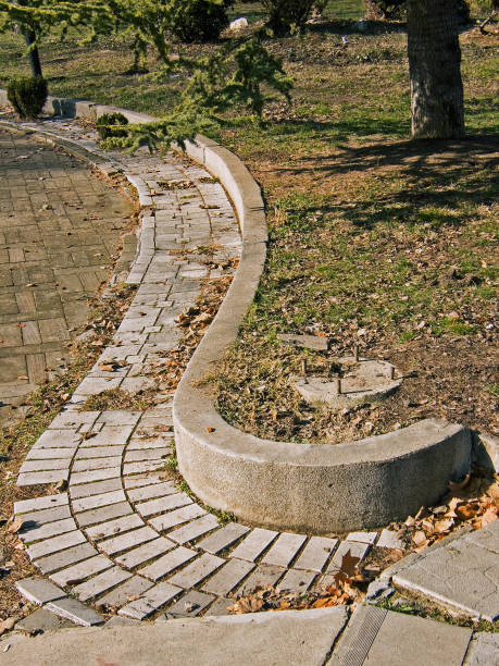 istock Sunny winter day in a city park without snow (Picture No 03) 1205812778