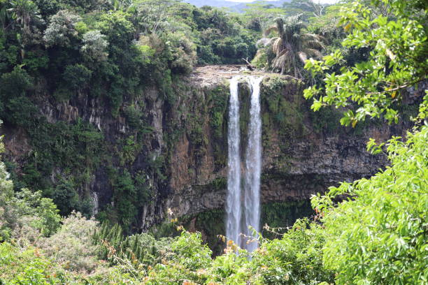 istock Chamarel Waterfall, Mauritius, Indian Ocean, Africa 1205812783