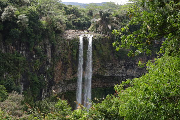 istock Chamarel Waterfall, Mauritius, Indian Ocean, Africa 1205813896