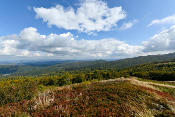 istock Polish mountains landscape - Bieszczady 1205814285
