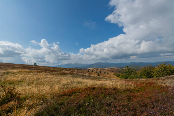 istock Polish mountains landscape - Bieszczady 1205814336