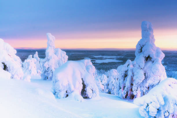 istock Winter landscape with snow covered trees in winter forest. 1205817588