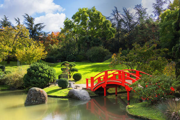 il giardino giapponese in una giornata di sole. distretto di compans caffarelli. tolosa. francia - nature japanese garden formal garden ornamental garden foto e immagini stock