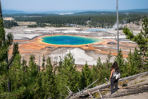 Looking at Grand Prismatic Spring