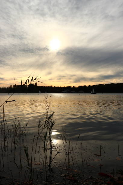 istock Sunset on the lake 1205819806