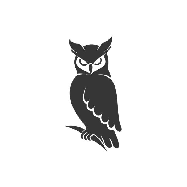 ilustraciones, imágenes clip art, dibujos animados e iconos de stock de logotipo de búho vector negro - owl