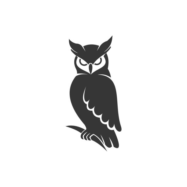 illustrazioni stock, clip art, cartoni animati e icone di tendenza di gufo logo vettore nero - owl