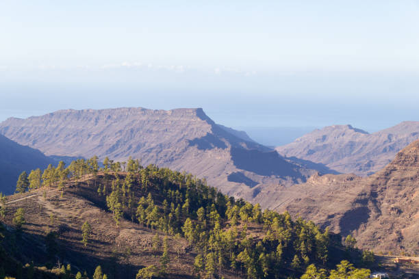 Beautiful view with pine trees on a hill close by and mountains behind
