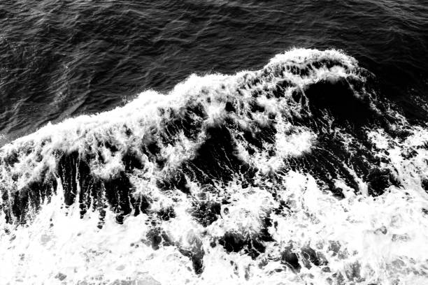 istock New York City Ferry Water 1205822721