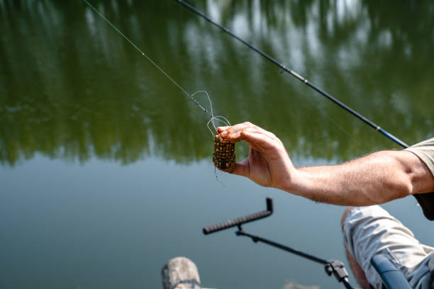 istock Fishing road by the water 1205822728
