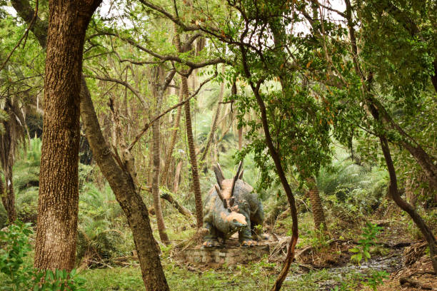 istock Dense forest. stock photo 1205823392