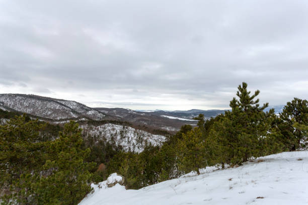 istock Pilis mountains in Hungary 1205824957