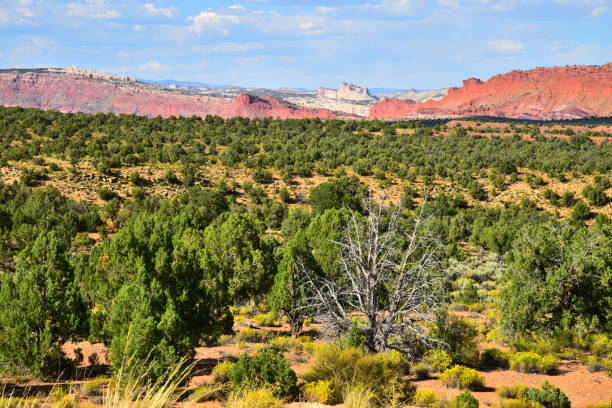istock Grand Staircase-Escalante National Monument 1205825816