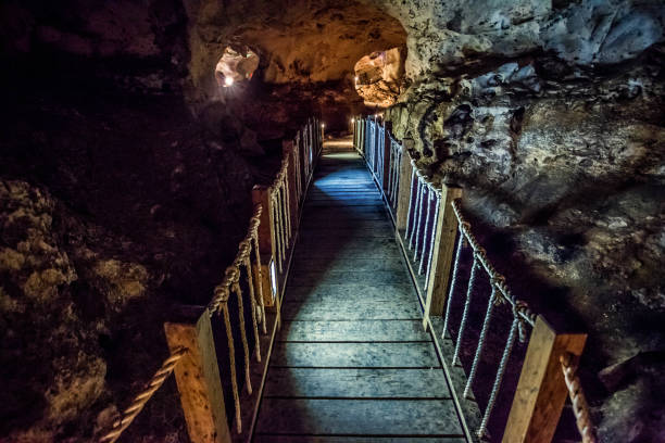 ジャマイカ旅行先の緑の洞窟洞窟 - 岩屋 ストックフォトと画像