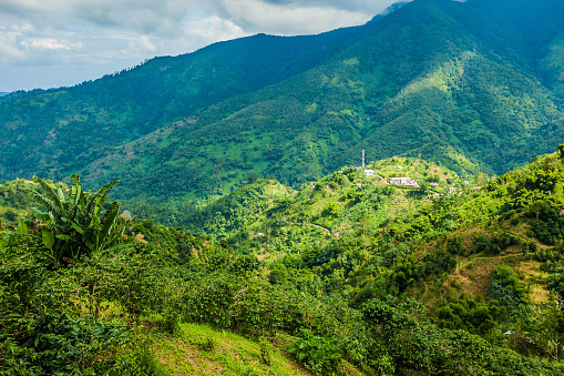 Blue mountains of Jamaica coffee growth place hills