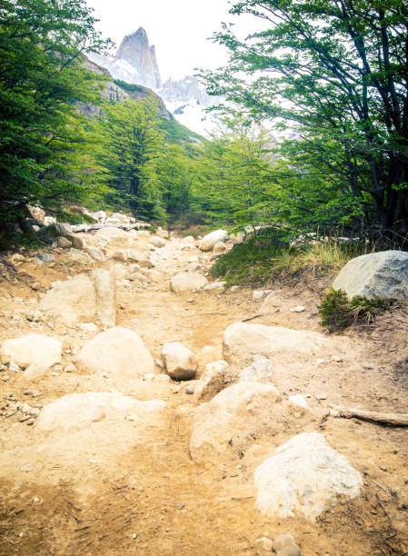 Trail in the El Chalten Patagonia in Argentina