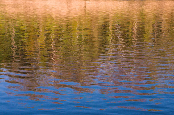 Castlewood State Park -- Meramec River Ripples