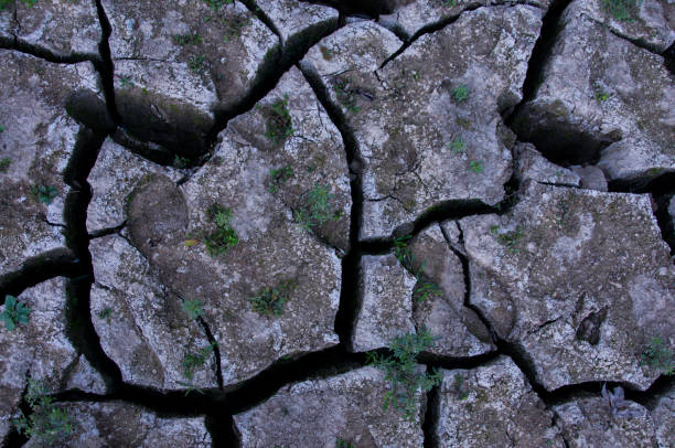 Castlewood State Park -- Meramec River Cracks in Dry River Bottom