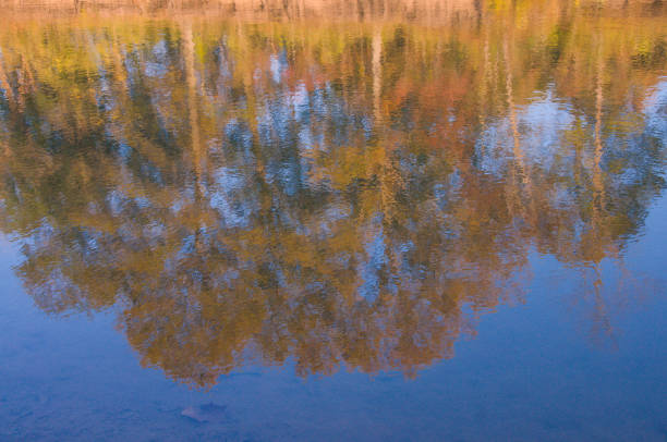Castlewood State Park -- Meramec River Autumn Trees impressions