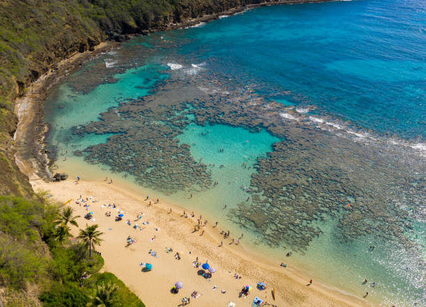 vista aérea de la reserva natural de la bahía de hanauma en oahu, hawái - hanauma bay hawaii islands oahu bay fotografías e imágenes de stock