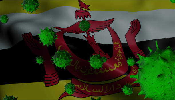 istock Corona Virus Outbreak with Brunei Flag - Coronavirus Concept Flag 1205832842