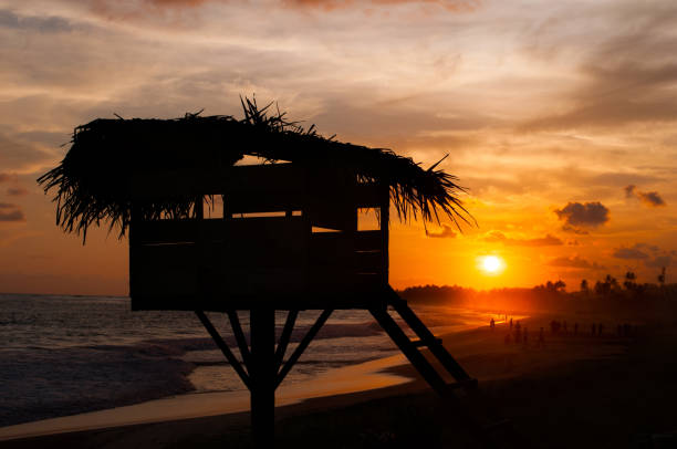 istock observation post of the rescuer on the ocean coast 1205832852