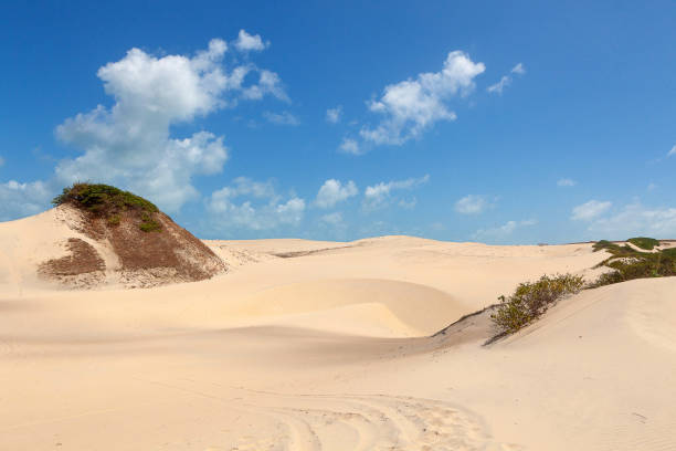 istock dune landscape scene in brazilian beaches 1205832900