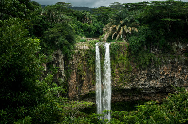 istock Chamarel Waterfall in the tropical island jungle. Mauritius 1205832904