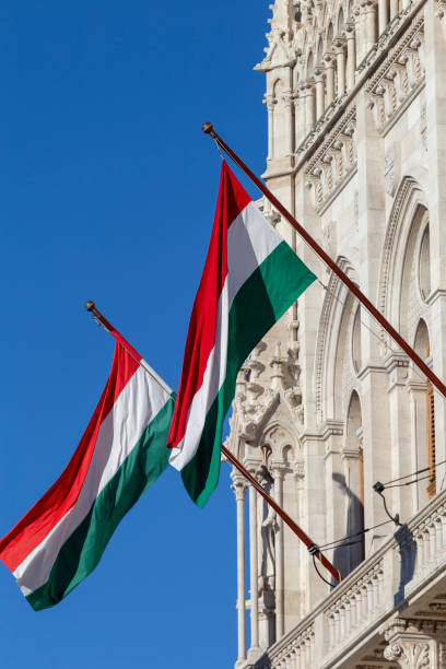 istock Hungarian Parliament Building 1205834364