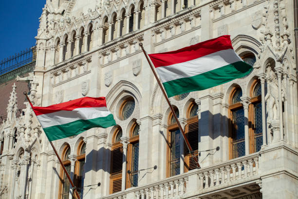 palazzo del parlamento ungherese - hungarian flag foto e immagini stock