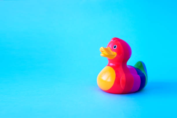 anatra arcobaleno su sfondo blu. concetto di comunità lgbt - rubber duck foto e immagini stock