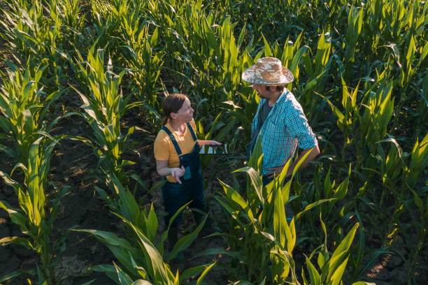 istock Female agronomist with tablet computer advising corn farmer 1205837775
