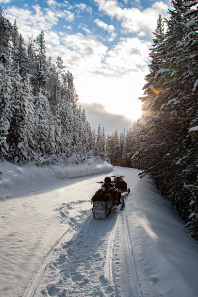 istock Yellowstone Mountain Landscape in Winter 1205837886