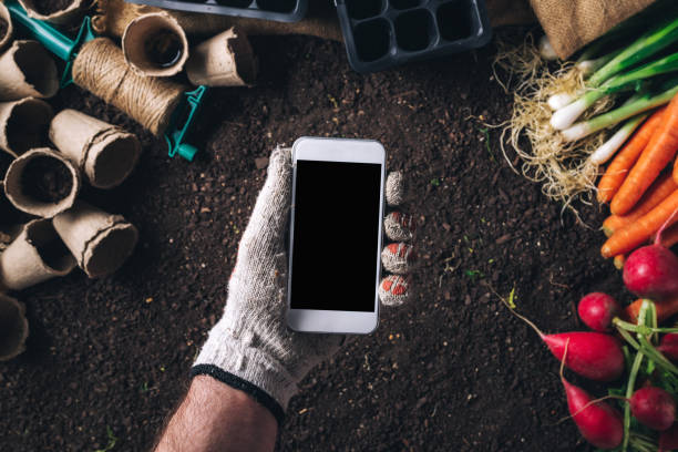 smartphone makieta do ekologicznej uprawy produktów uprawianych w domu - radish vegetable farmers market gardening zdjęcia i obrazy z banku zdjęć