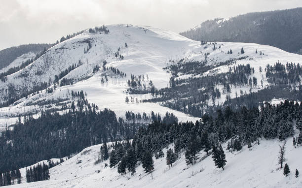 istock Yellowstone Mountain Landscape in Winter 1205837920