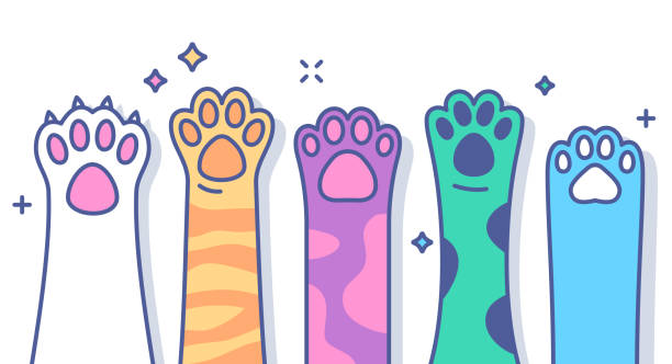 Paws Raised Cat or Dog pet paws raised line drawing colorful horizontal volunteering claw stock illustrations
