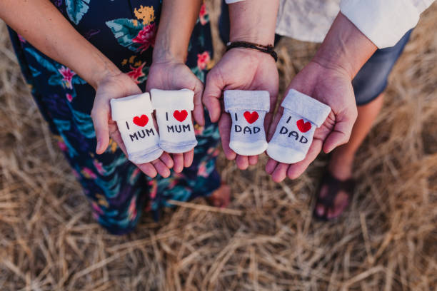 portrait outdoors of a young pregnant couple in a yellow field. outdoors family lifestyle.. holding baby socks with i love mum, i love dad message - couple human pregnancy sunset walking imagens e fotografias de stock