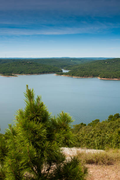 istock Small Pine Tree overlooks Greer's Ferry Lake 1205841639