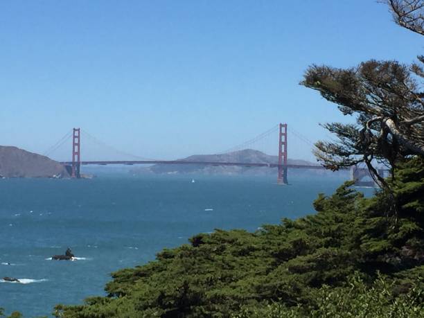 istock View of Golden Gate Bridge 1205842566