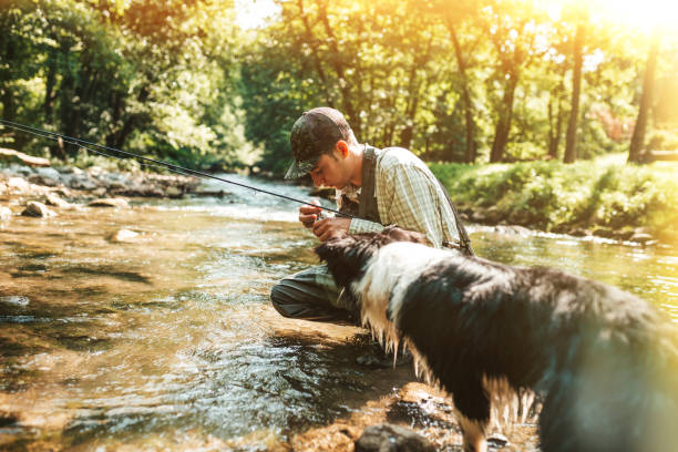 istock Fly Fishing on mountain river 1205846711