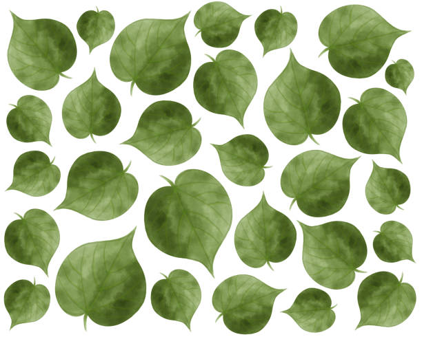 wzór akwareli z liśćmi lipy, bezszwowe naturalne zielone tło. - linden tree stock illustrations