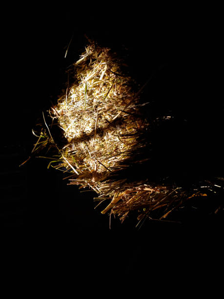 Close up texture photo with focus on shadow