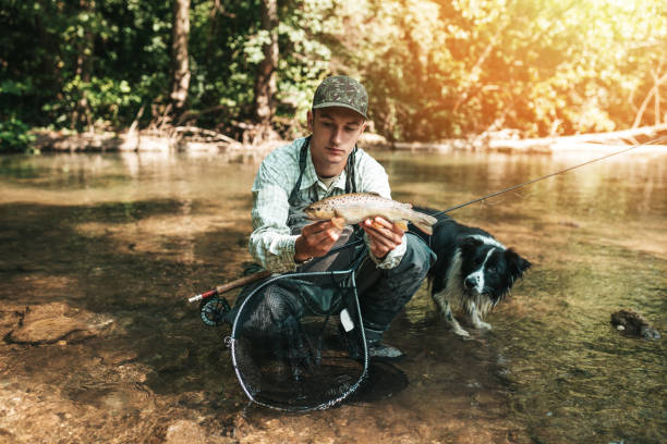 Young adult man fly fishing on the river together with his Border Collie dog.