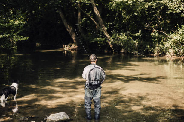 istock Fly Fishing on mountain river 1205848500