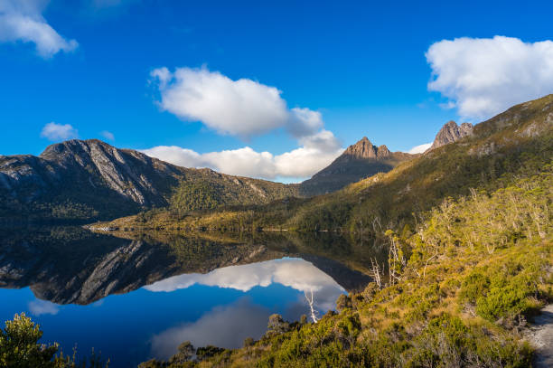 istock Mountains and lake with perfect reflection nature background 1205852729